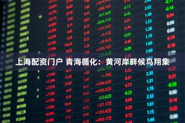 上海配资门户 青海循化：黄河岸畔候鸟翔集