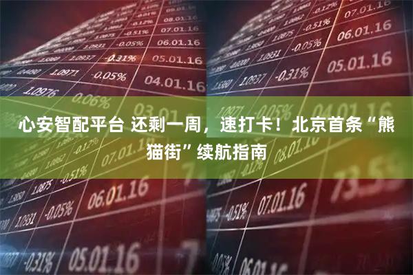 心安智配平台 还剩一周，速打卡！北京首条“熊猫街”续航指南